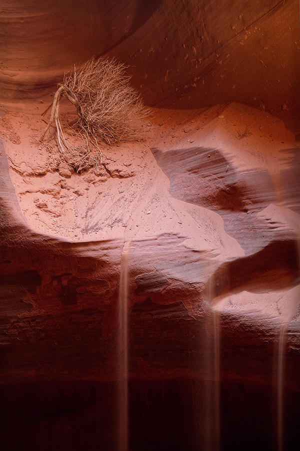 Antelope Canyon Photograph - Timeless by Lucinda Walter