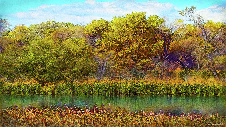 Timeless Pond Digital Art by Joel Bruce Wallach