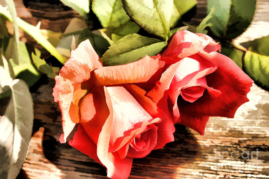 Timeless Tropicana Roses Photograph by Judy Palkimas