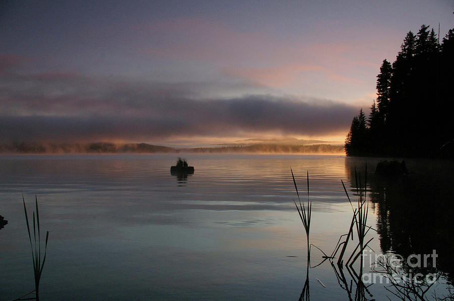 Timothy Lake Sunrise Fire on Water Photograph by Rick Bures