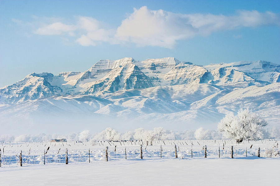 Timpanogos in Winter. Wasatch Mountains, Utah Photograph by TL Mair
