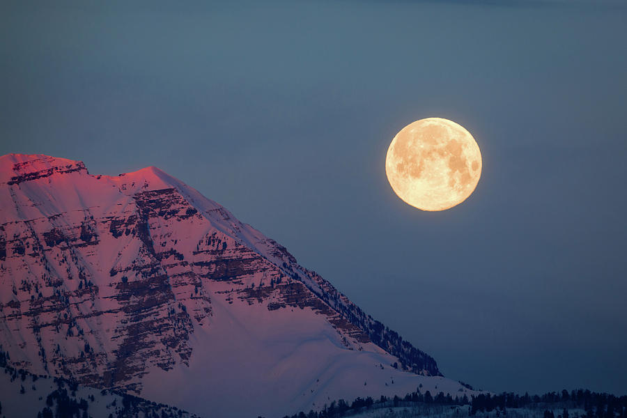 Nature Photograph - Timpanogos with the Pink Moon. by Wasatch Light
