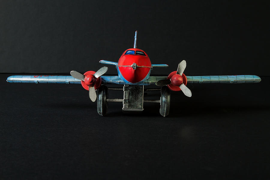 Tin Airplane - 1 Photograph by Rudy Umans