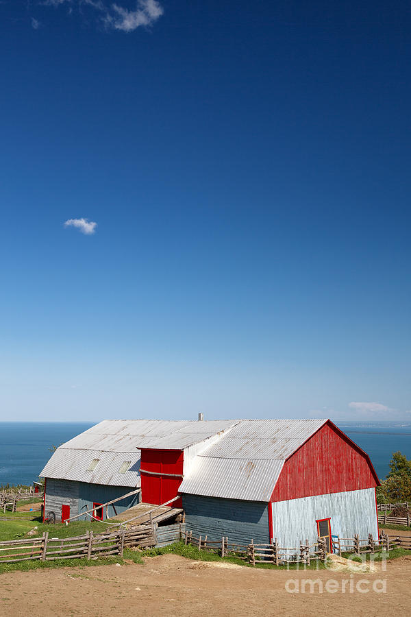 Tin barn, La Malbaie Photograph by Jane Rix