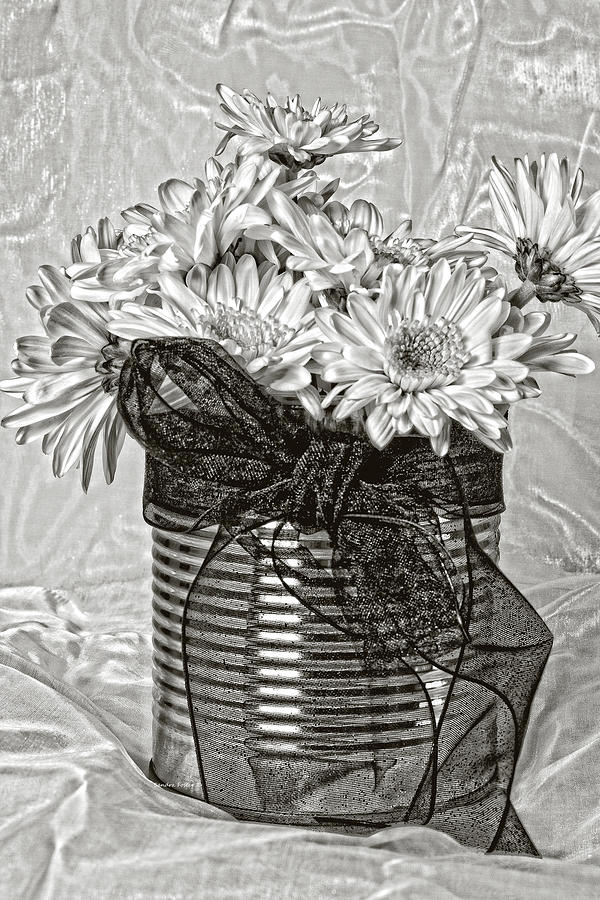 Tin Can Daisies  Photograph by Sandra Foster