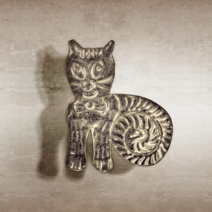 Vintage Photograph - Tin Cat by YoPedro