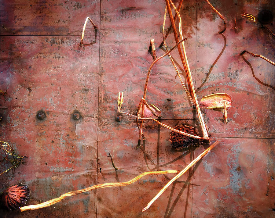 Abstract Photograph - Tin Door - Red Pond by Wayne Sherriff