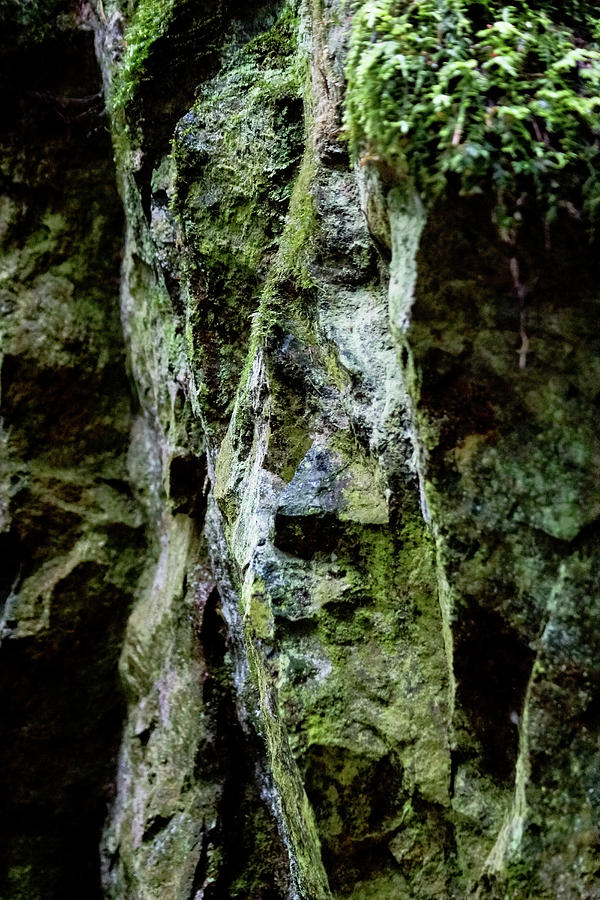 Tin Man Rock Photograph by Tim Dussault