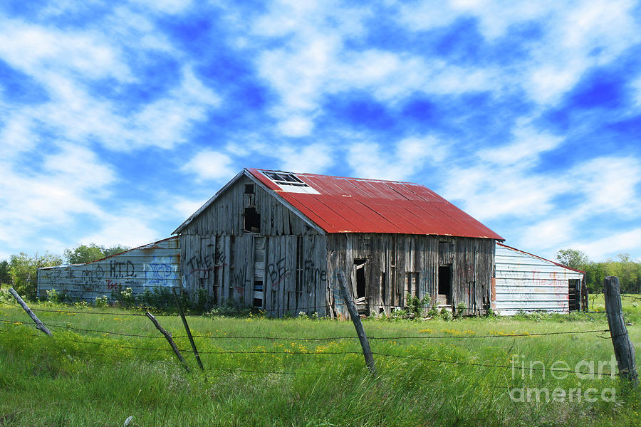 Tin Roof Barn Photograph by Peter Stawicki - Fine Art America