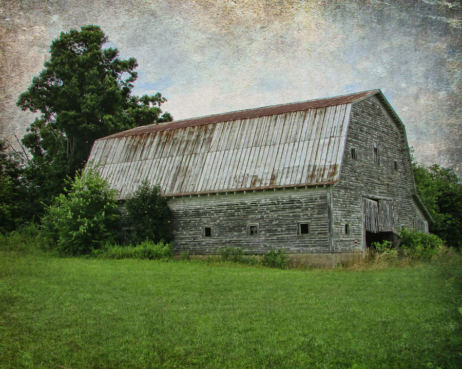 Tin Roof Rusted Photograph by Vic Montgomery