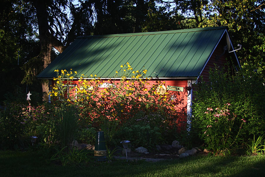 Tin Roofed Shed  Photograph by Richard Gregurich