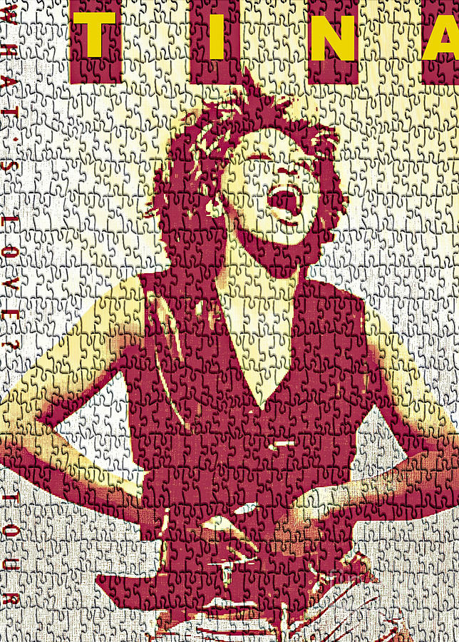 Tina Turner - Digital Graphic Poster Digital Art by Ian Gledhill