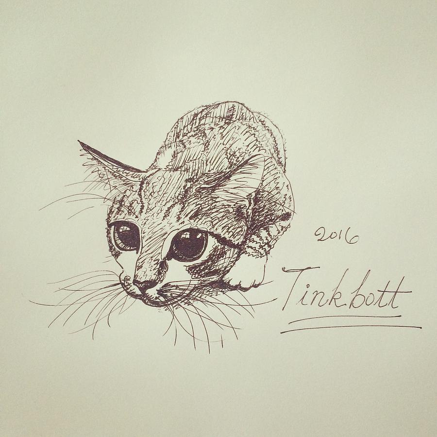 Tinkbott Drawing