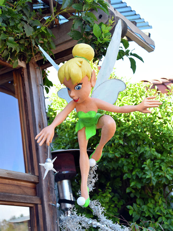 Tinker Bell at Robins in Cambria California Detail Photograph by Barbara Snyder