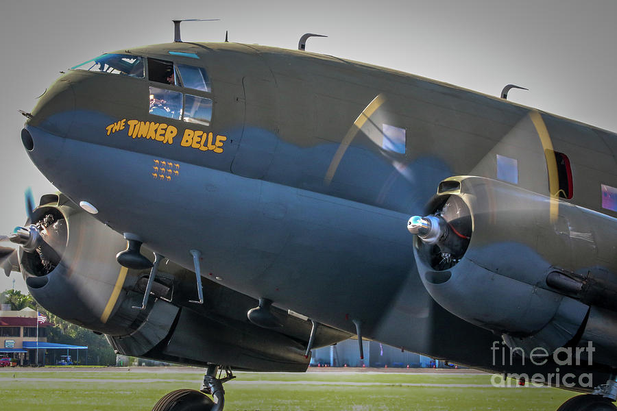 Tinker Belle Photograph by Tom Claud