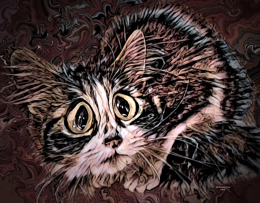 Tinker the Big Eye Kitty Digital Art by Artful Oasis