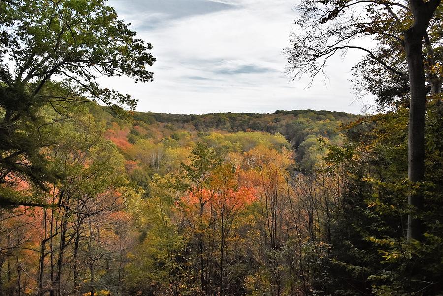 Tinker's Creek Gorge Overlook Photograph by Flo McKinley