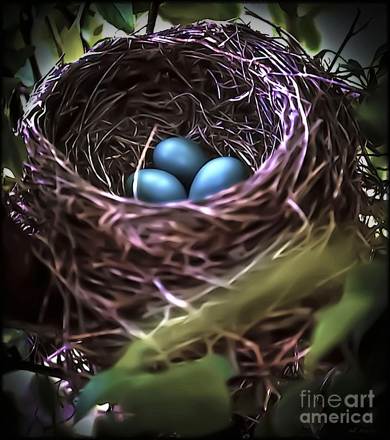 Tiny Blue Bird Eggs in Nest Painting by Walt Foegelle