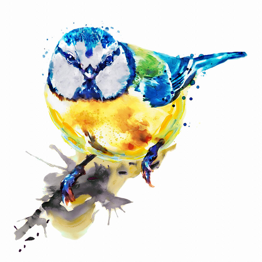 Blue Tit Painting by Marian Voicu
