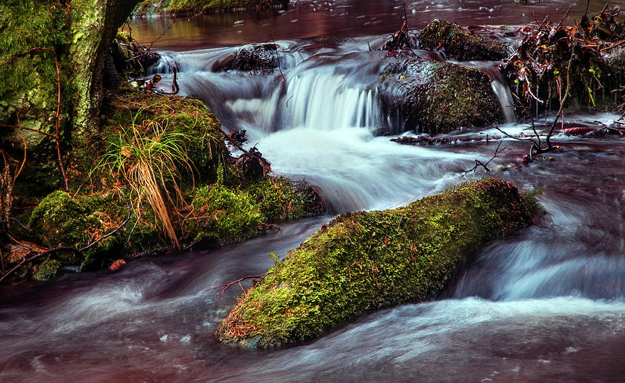 Tiny Creek with Troubled Waters Photograph by Jenny Rainbow
