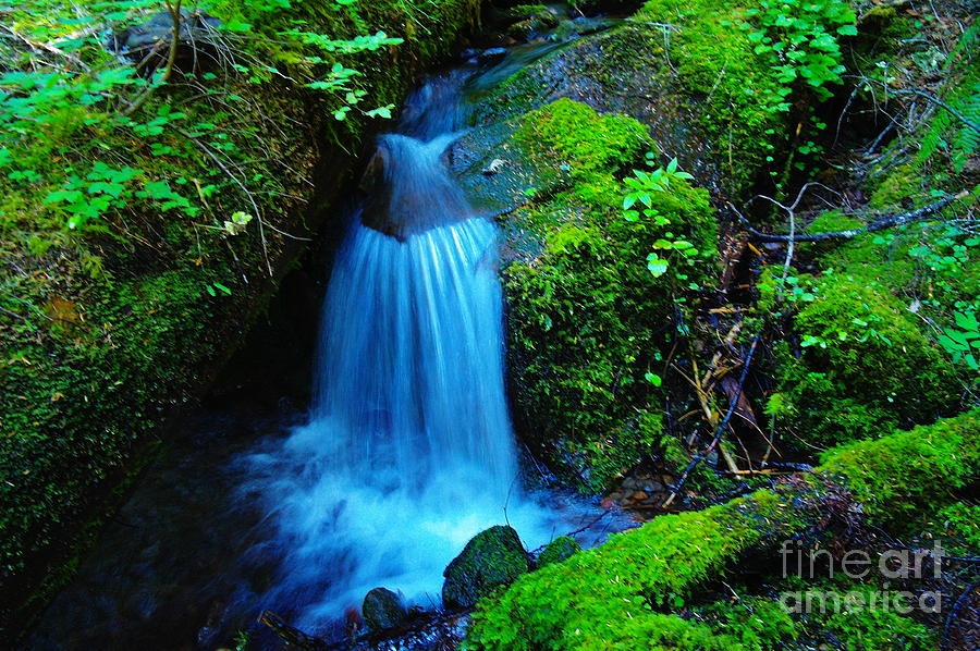 Nature Photograph - Tiny Falls by Jeff Swan