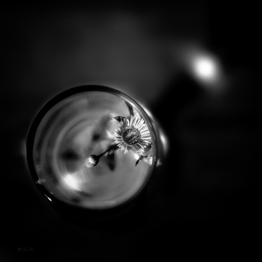Tiny Flower In A Wine Glass Photograph by Bob Orsillo