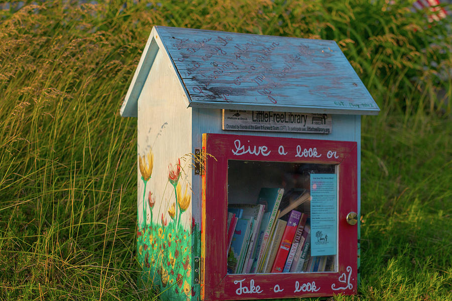 Tiny Library Photograph by Barry Wills