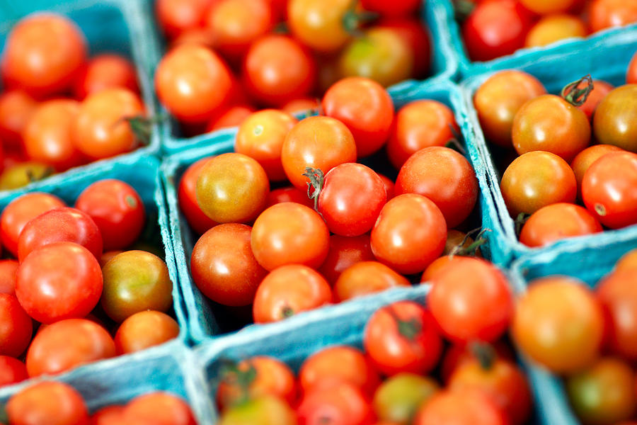 Tiny Little Red Tomatoes Photograph by Todd Klassy