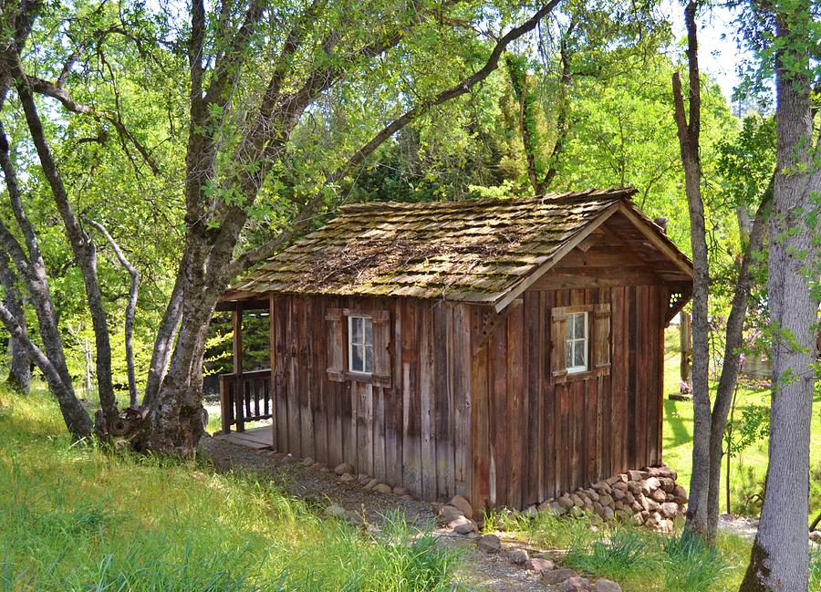 Tiny Old Wooden Cabin Photograph by Cherie Cokeley