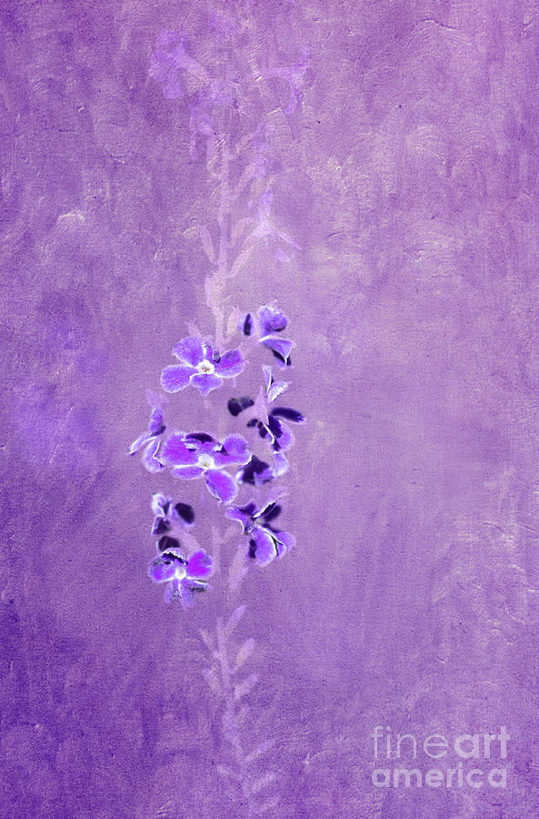 Flower Digital Art - Tiny Purple Flowers by Elisabeth Lucas
