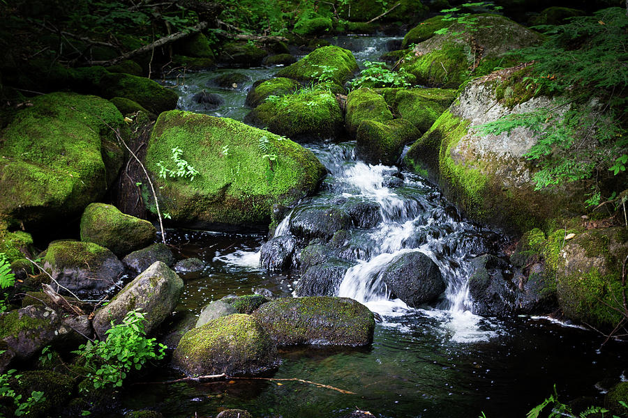 Tiny Waterfall - Ellsworth Maine Photograph by Kirkodd Photography Of New England