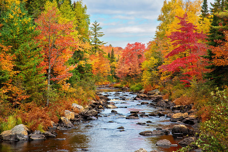 Tioga Creek Photograph by Tim Trombley - Fine Art America