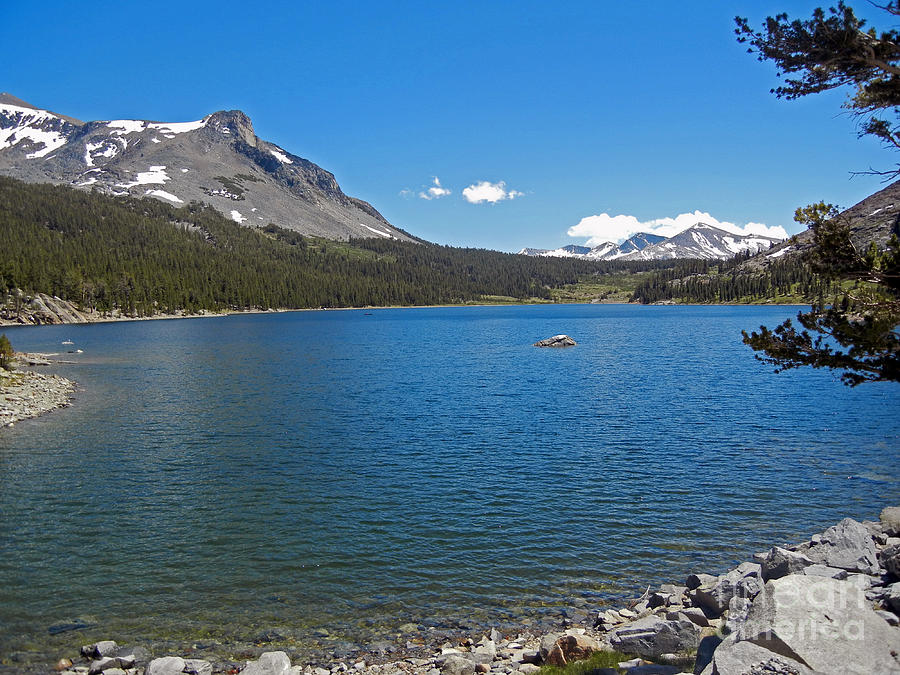 Tioga Lake CA Photograph by Cindy Murphy - NightVisions 