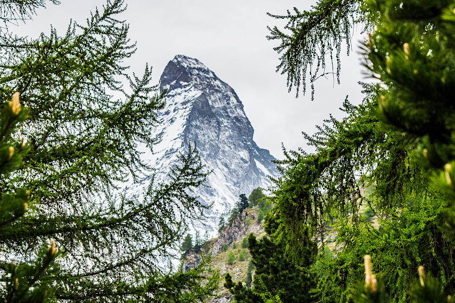 Landmark Photograph - Tip of the Matterhorn by Lisa Lemmons-Powers