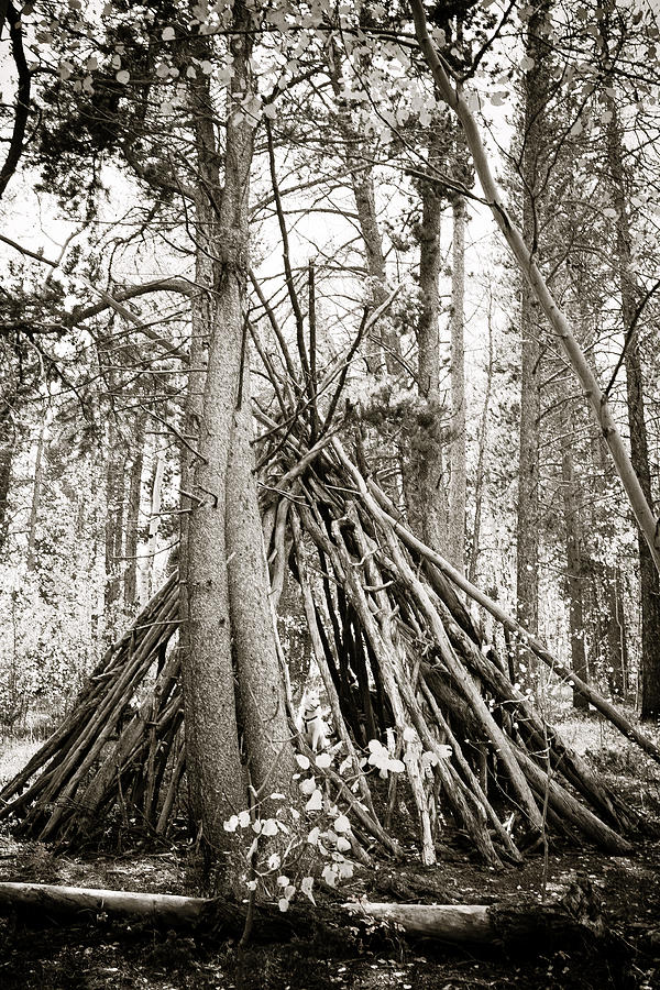 Tipi Shelter Photograph by Marilyn Hunt