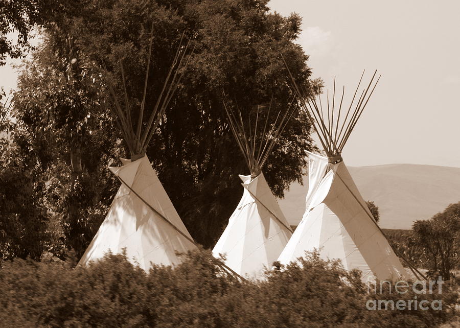 Wild Wild West Photograph - Tipis in Toppenish by Carol Groenen