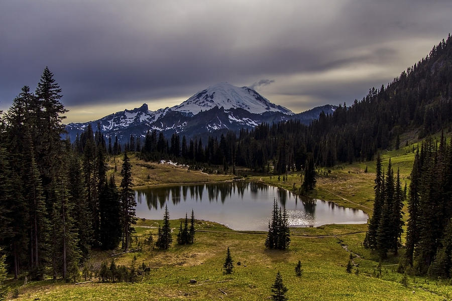 Tipsoo Lake Afternoon Photograph by Larry Waldon