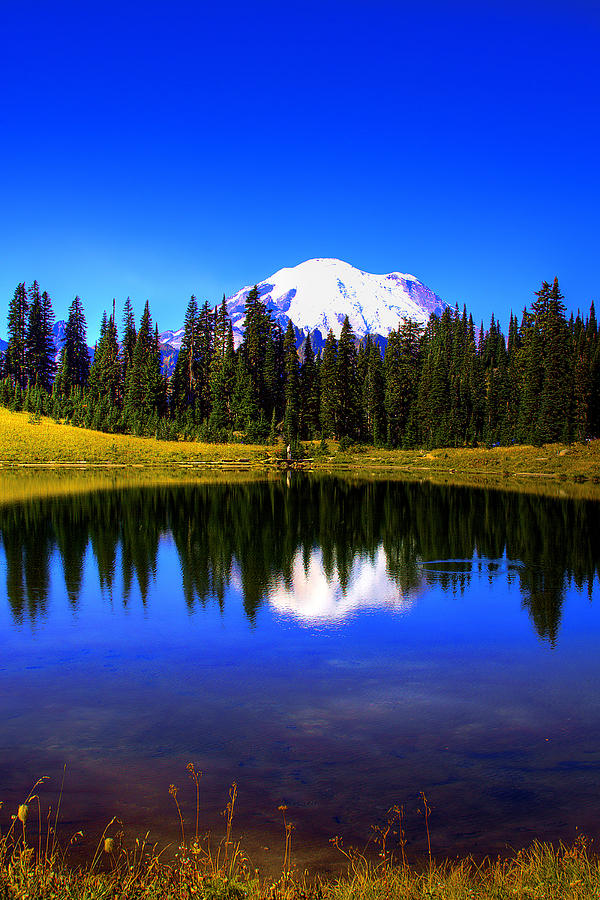 Tipsoo Lake and Mt Rainier Photograph by David Patterson - Fine Art America