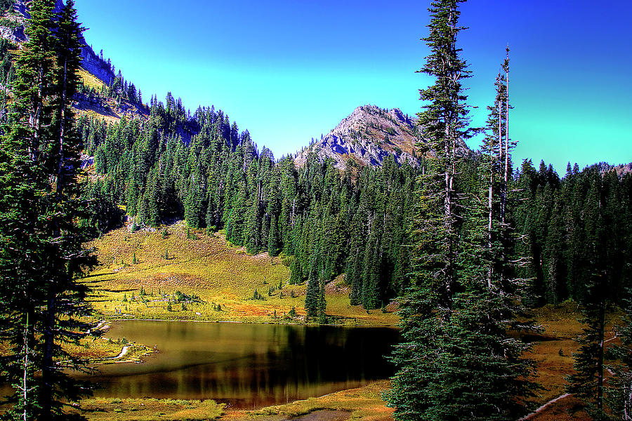 Tipsoo Lake On Chinook Pass Washington Photograph by David Patterson