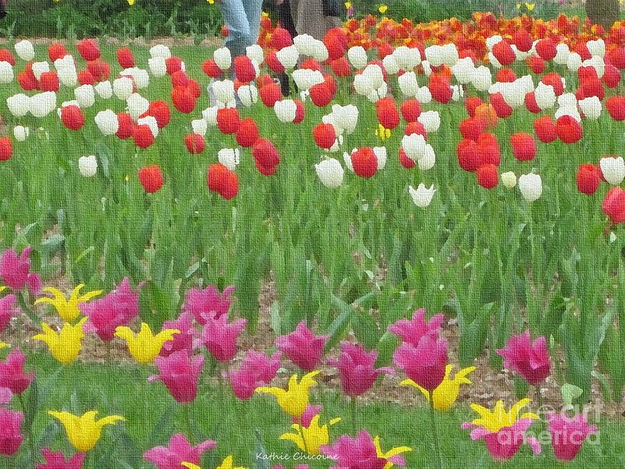 Tiptoe Through the Tulips Photograph by Kathie Chicoine