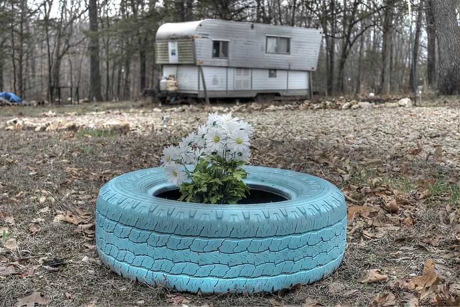 Tire flower planter spring vintage rv camper daisy Photograph by Jane Linders