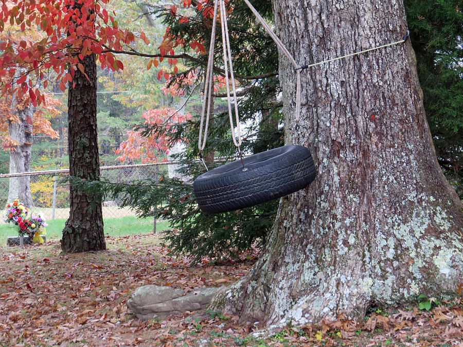 Fall Photograph - Tire Swing by Aaron Martens