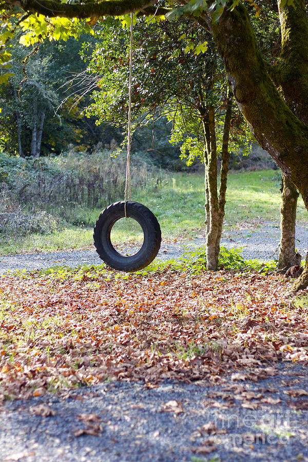 Fall Photograph - Tire Swing by Alexa Gurney