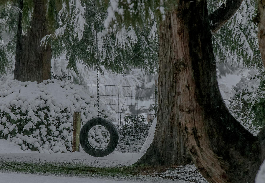 Tire Swing in Winter by E Faithe Lester Tire Swing in Winter by E Faithe Lester