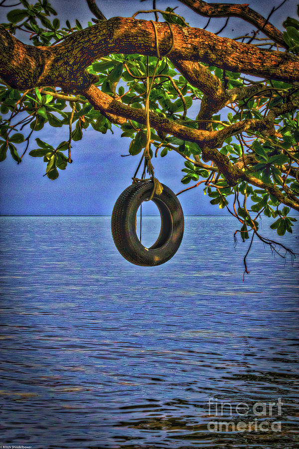 Tire Swing Photograph by Mitch Shindelbower