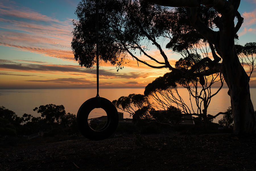 Tire Swing Sunset Photograph by Scott Cunningham