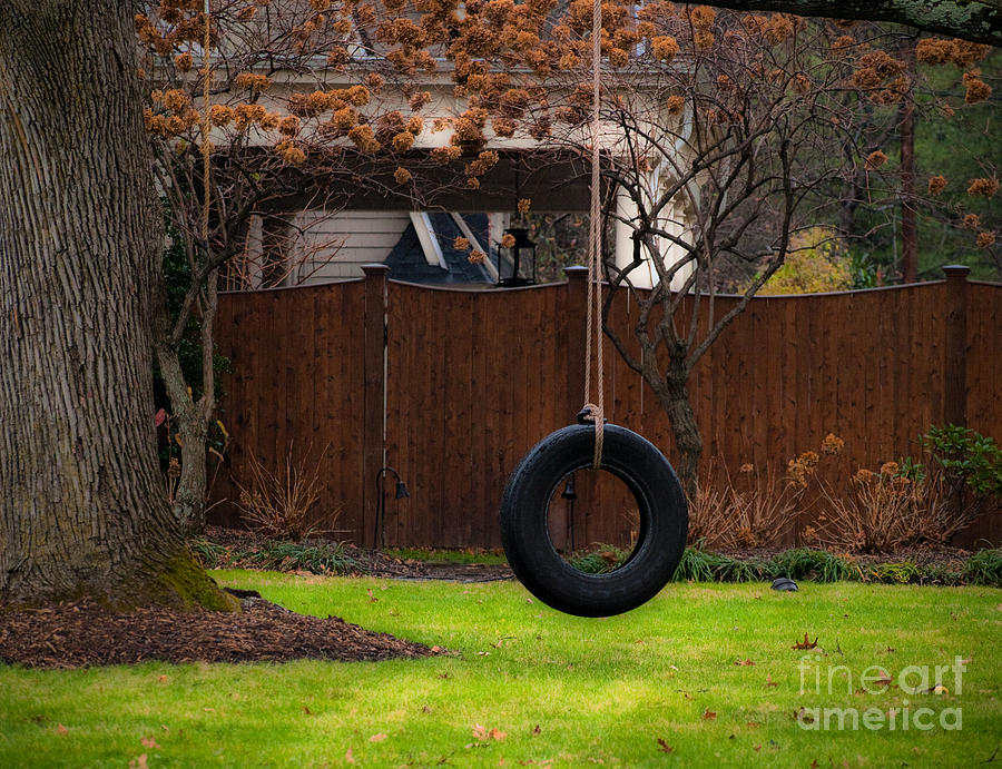 Spring Photograph - Tire Swing by Valerie Morrison