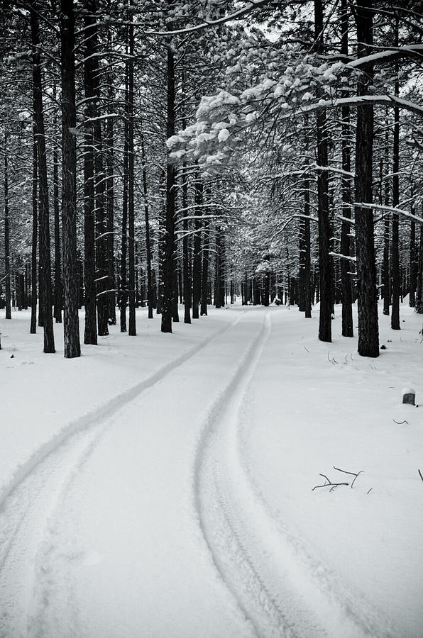 Tire Tracks in Snow Photograph by Scott Sawyer