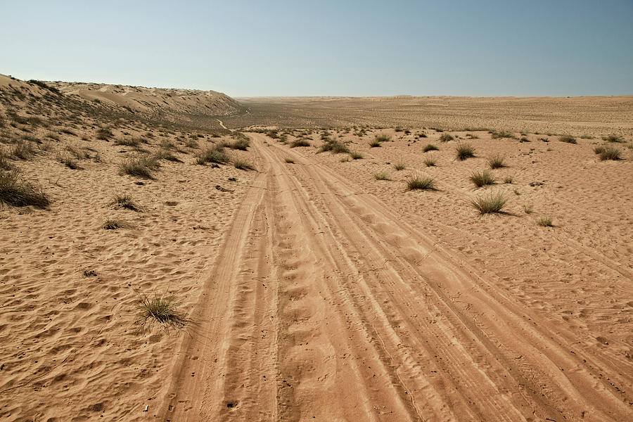 Горячий ветер африки 5 букв. Tires for the Sand Desert. Car Balloon tracks in the Desert.