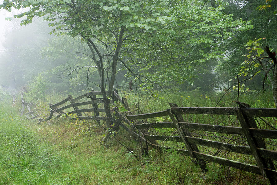 Tired Fence in Fog Photograph by Douglas Barnett